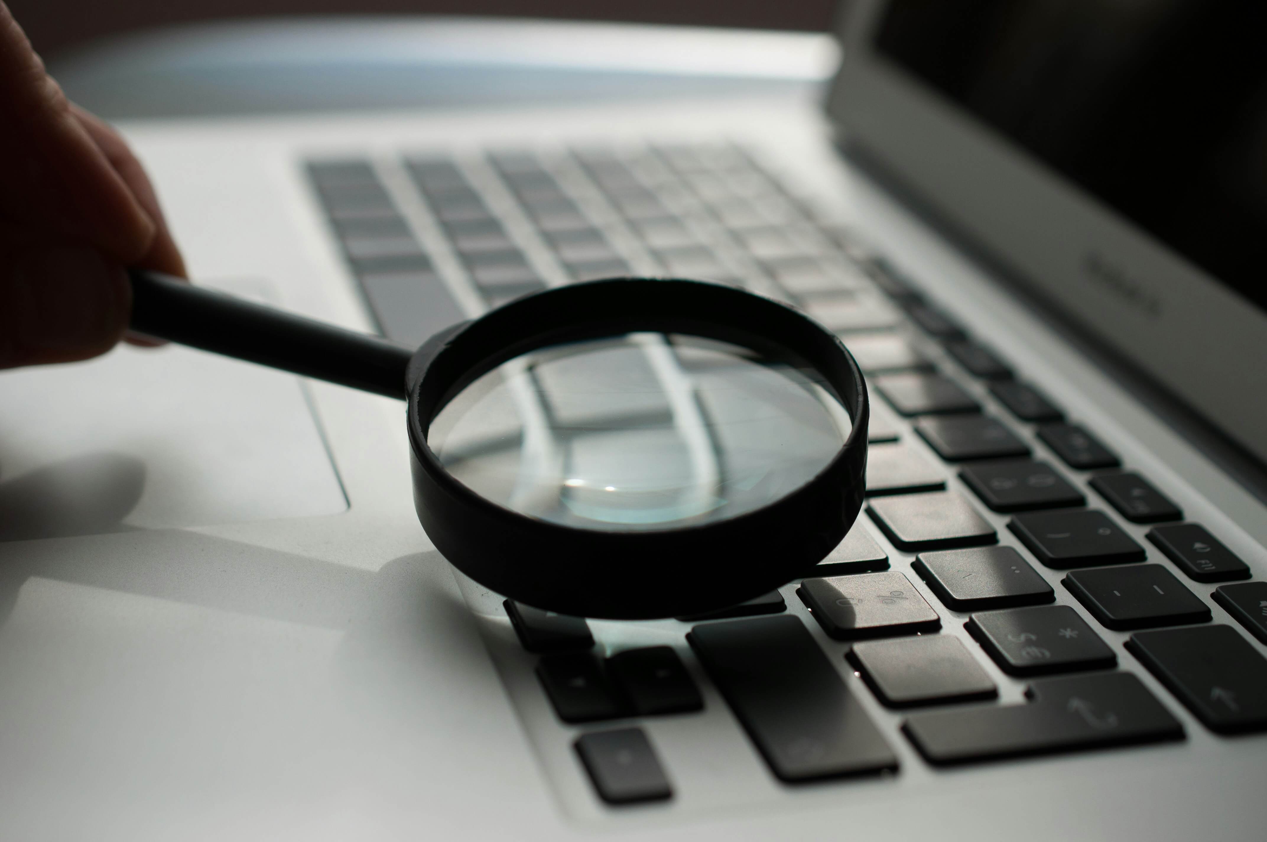 Search Cv Opt